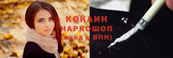 соль ск Елабуга