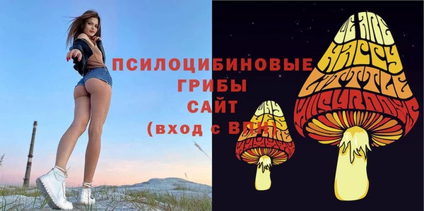 первитин Ельня