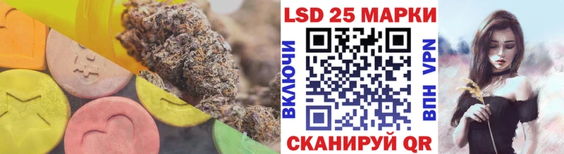 ЛСД экстази кислота  kraken как зайти  Назрань 