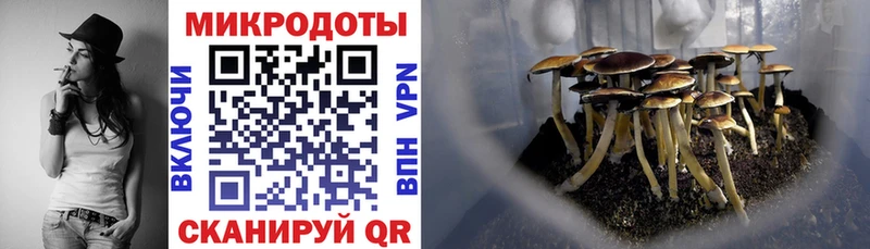 Галлюциногенные грибы мицелий  darknet формула  Назрань  OMG ссылки 